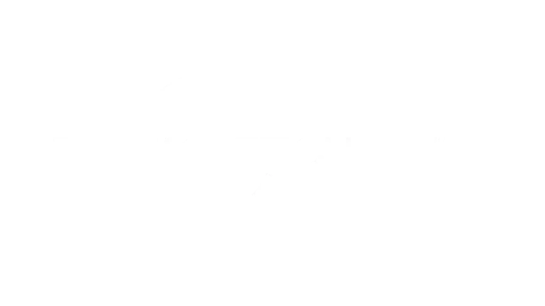 Icon14 - Vesiontv Premium IPTV Subscription